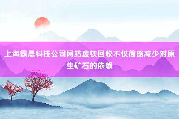 上海霸晨科技公司网站废铁回收不仅简略减少对原生矿石的依赖
