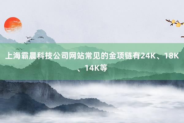 上海霸晨科技公司网站常见的金项链有24K、18K、14K等